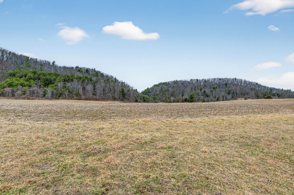 47.17 AC Widener Valley Rd