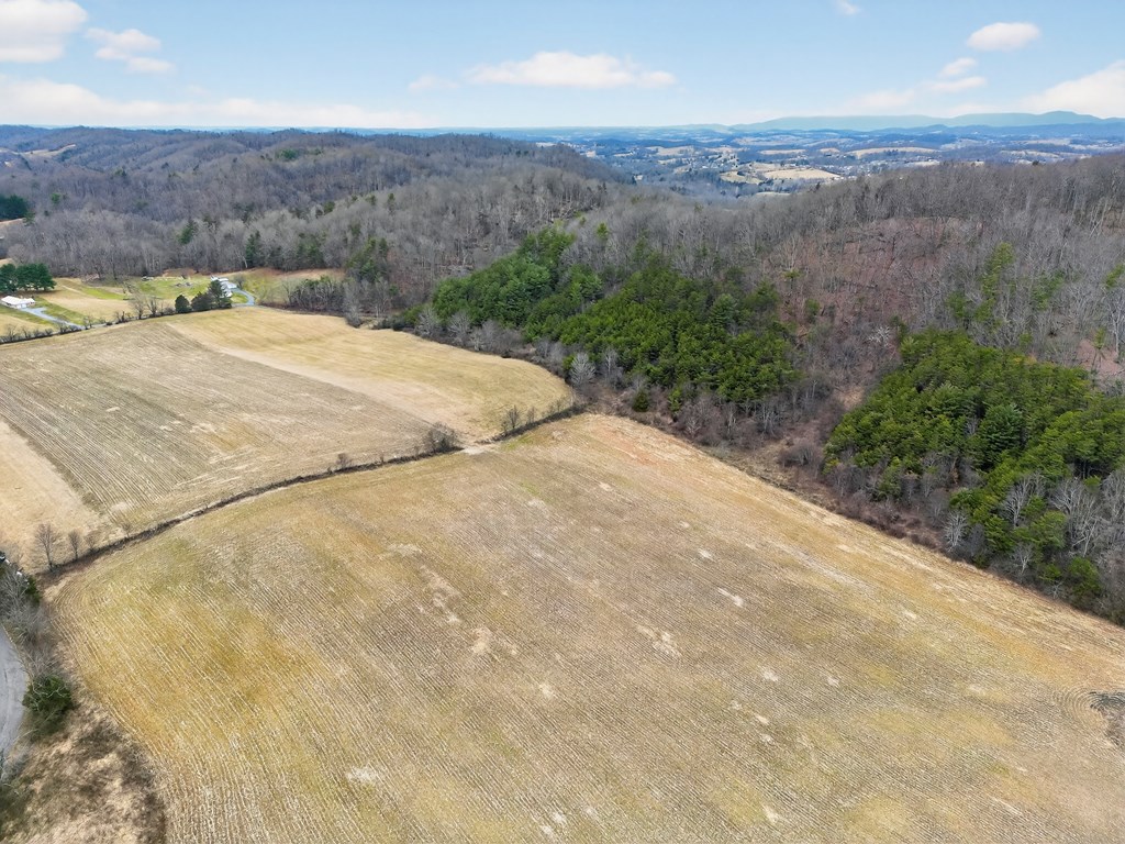 75.01 AC Widener Valley Rd