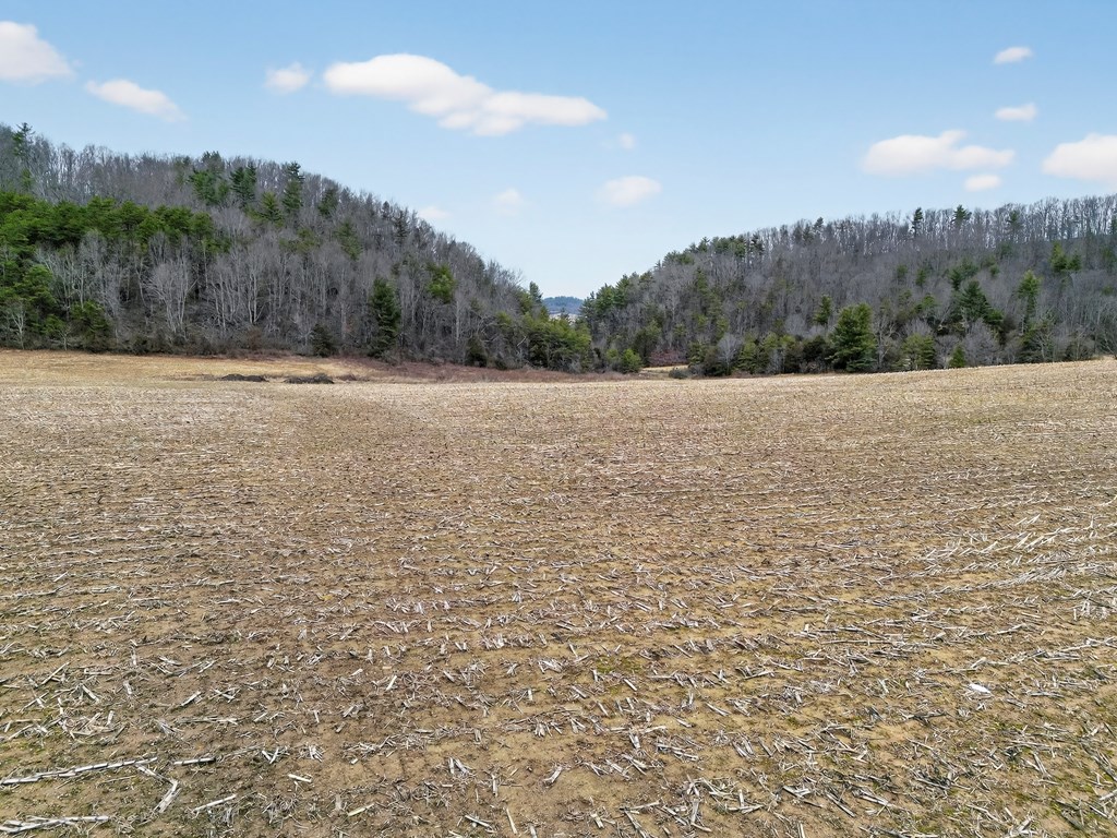 75.01 AC Widener Valley Rd