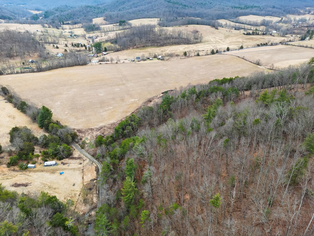 75.01 AC Widener Valley Rd