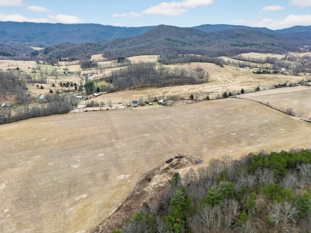 75.01 AC Widener Valley Rd