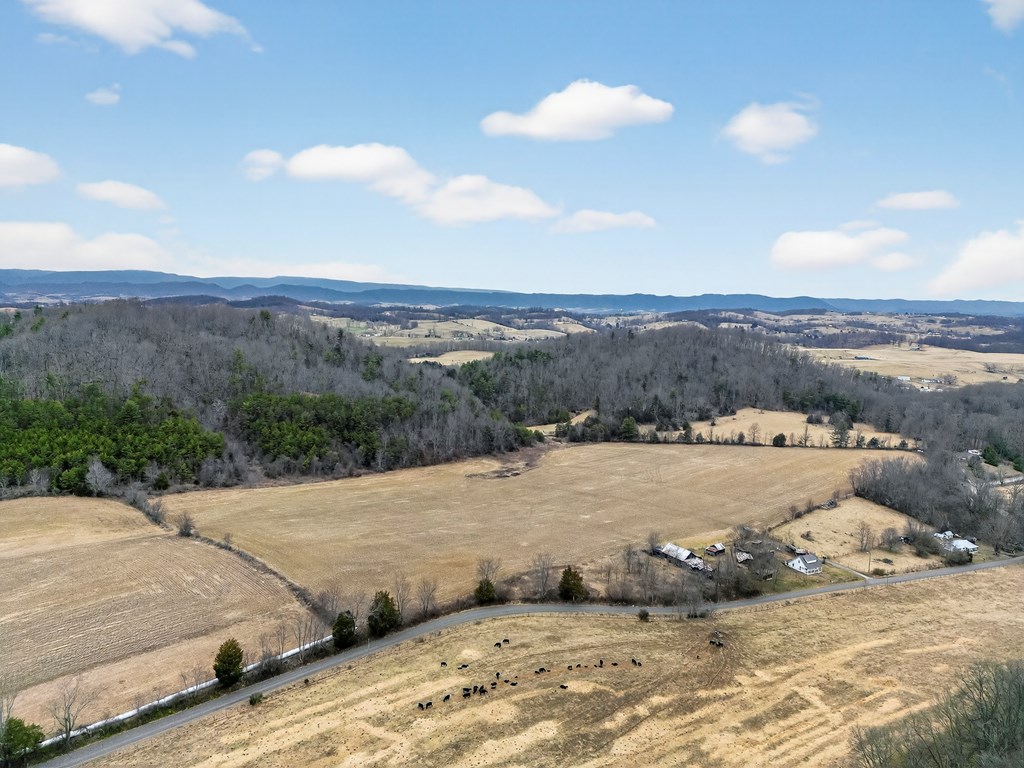 75.01 AC Widener Valley Rd