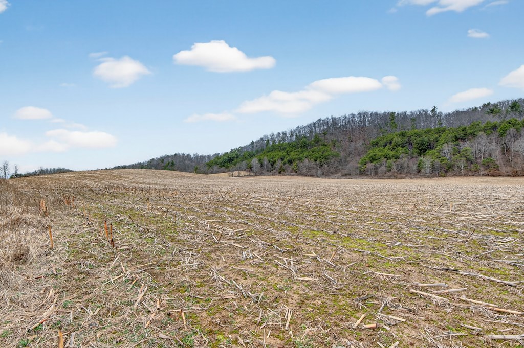 75.01 AC Widener Valley Rd