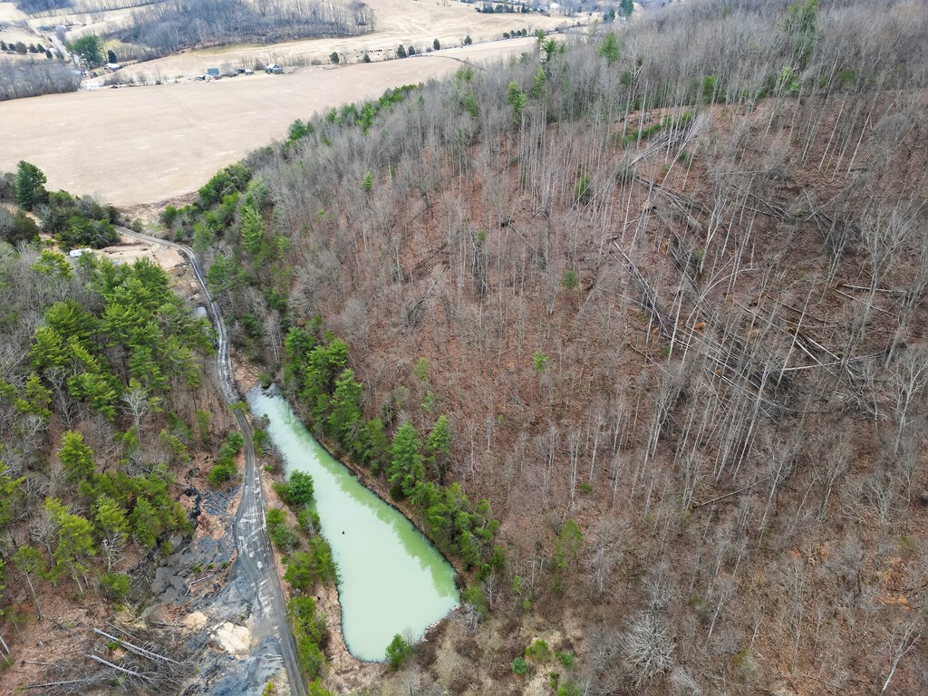 75.01 AC Widener Valley Rd