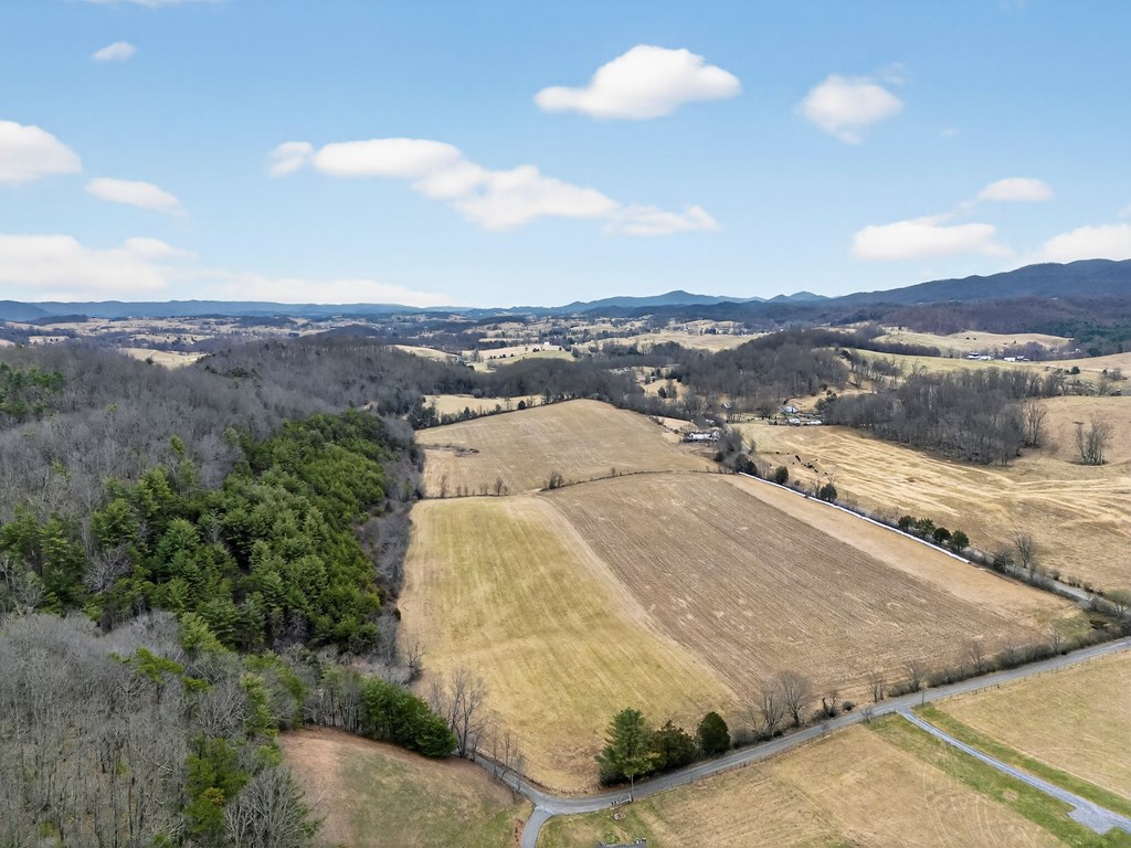 38813 Widener Valley Rd