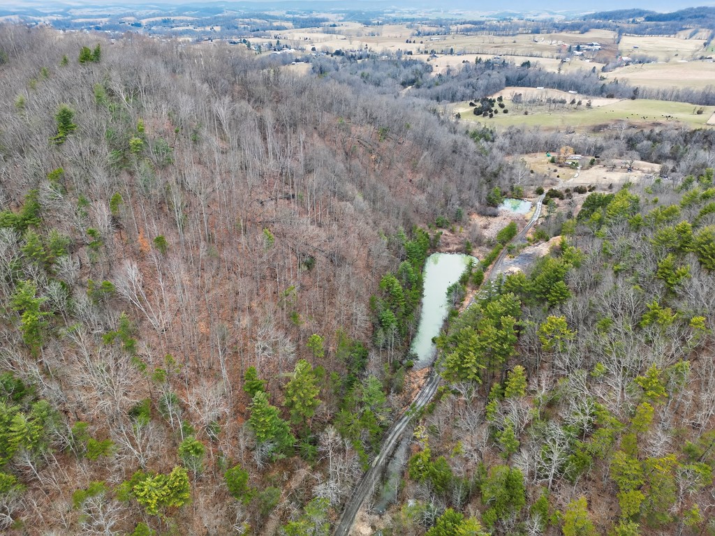 38813 Widener Valley Rd