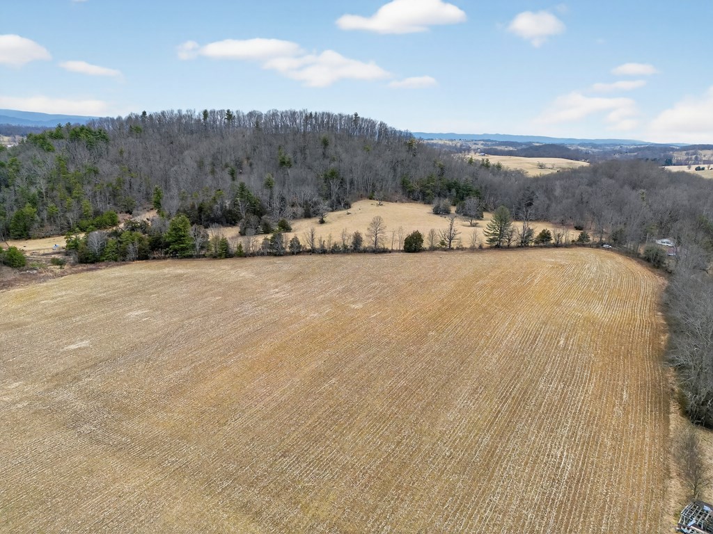 38813 Widener Valley Rd