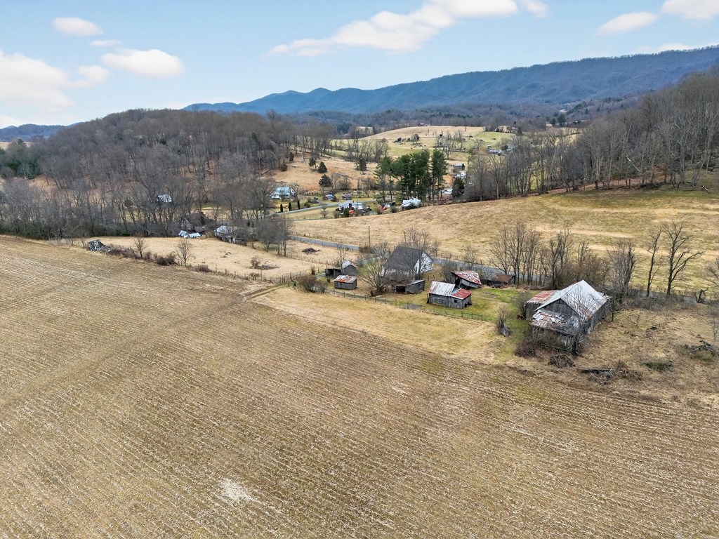 38813 Widener Valley Rd