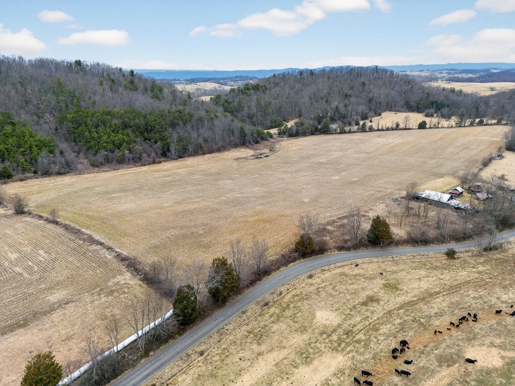 38813 Widener Valley Rd