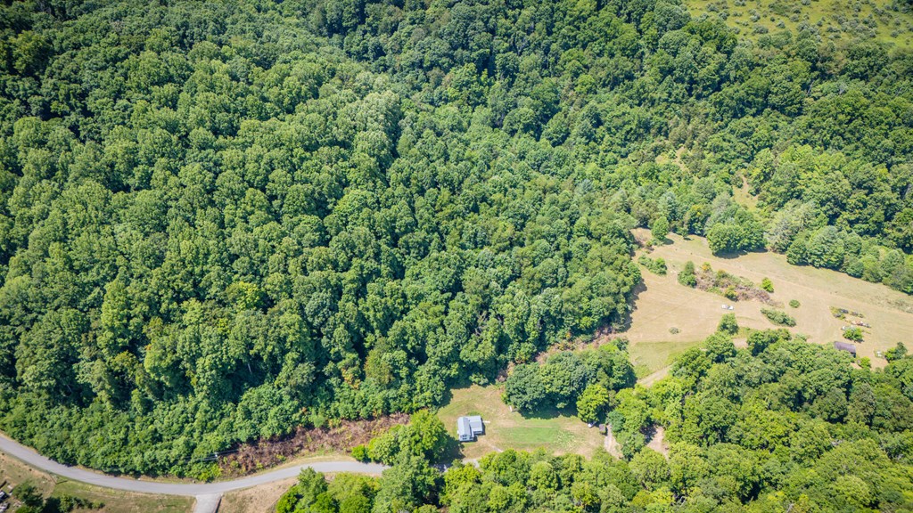 240 Beaver Creek Rd