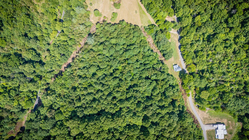 240 Beaver Creek Rd