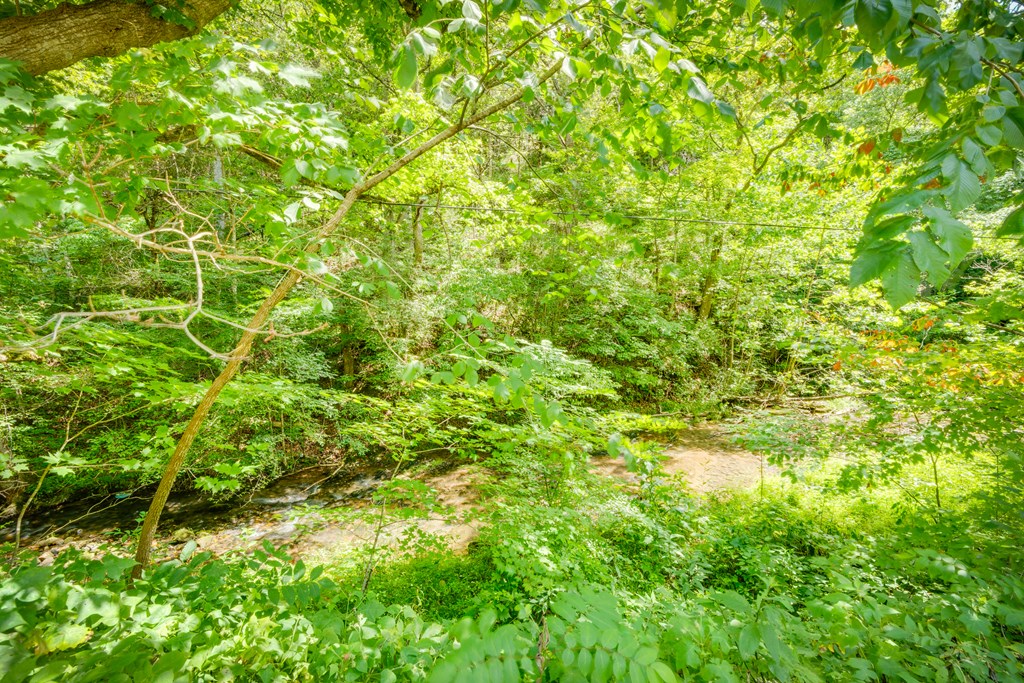 240 Beaver Creek Rd