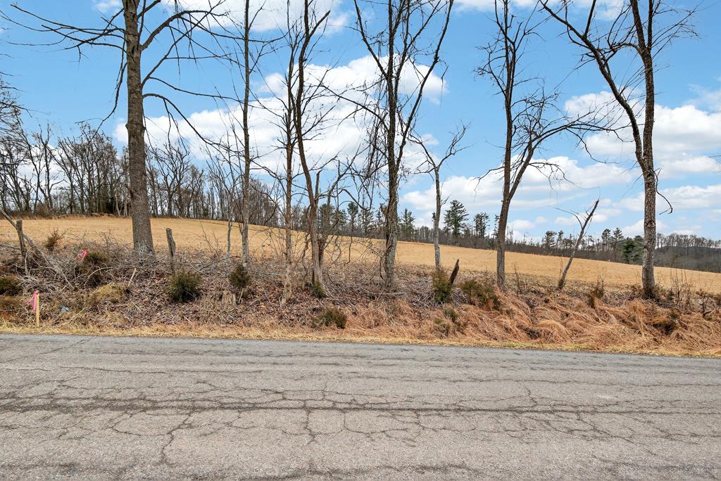 1.77 AC Twin Oaks Rd