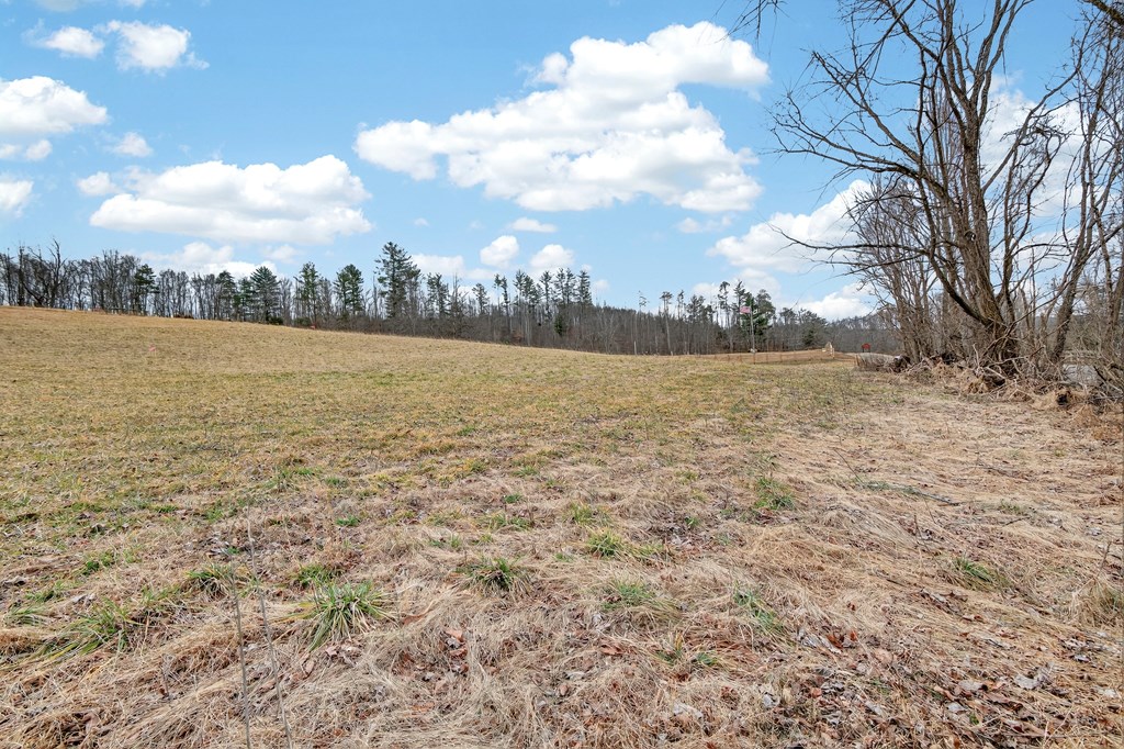 1.77 AC Twin Oaks Rd