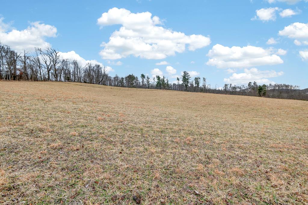 1.77 AC Twin Oaks Rd