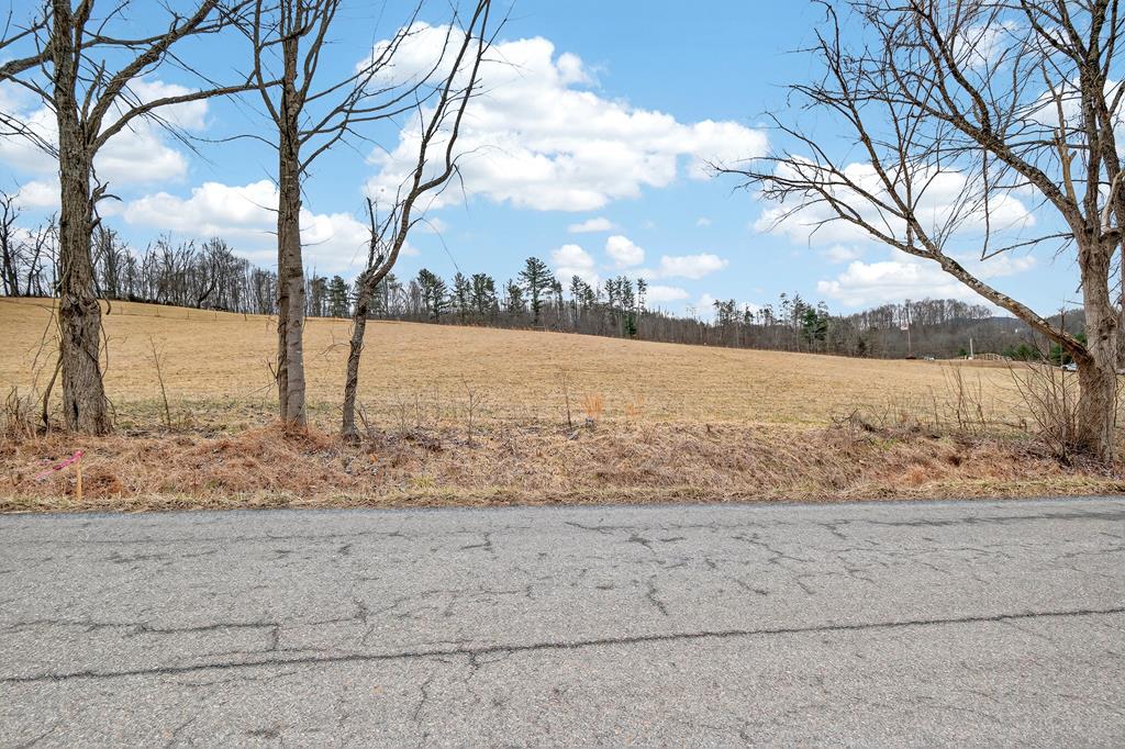 1.41 AC Twin Oaks Rd