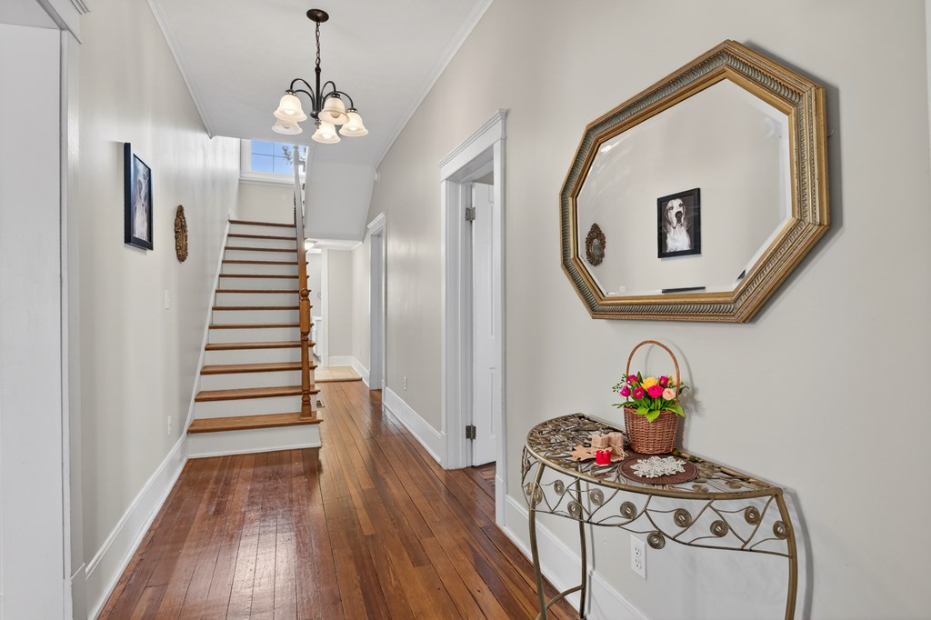 230 Kirkwood St.