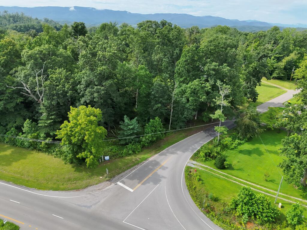 Wooded land parcel beside a road junction, with open grass and distant mountain ridges.