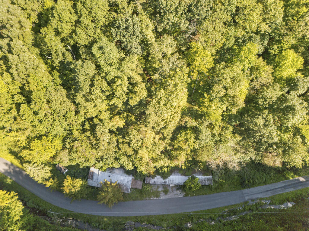 Aerial view of a wooded property beside a curving road, with small structures partly hidden by trees.