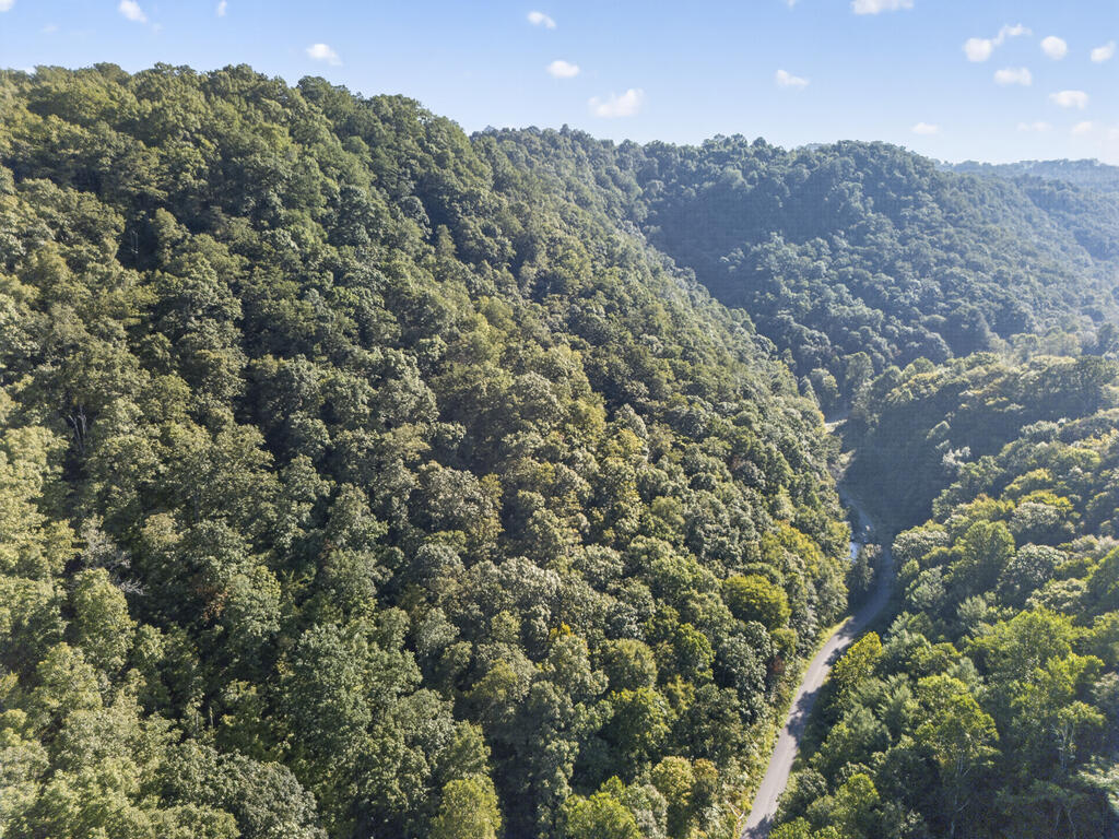 Aerial view of a winding road through densely forested hills.