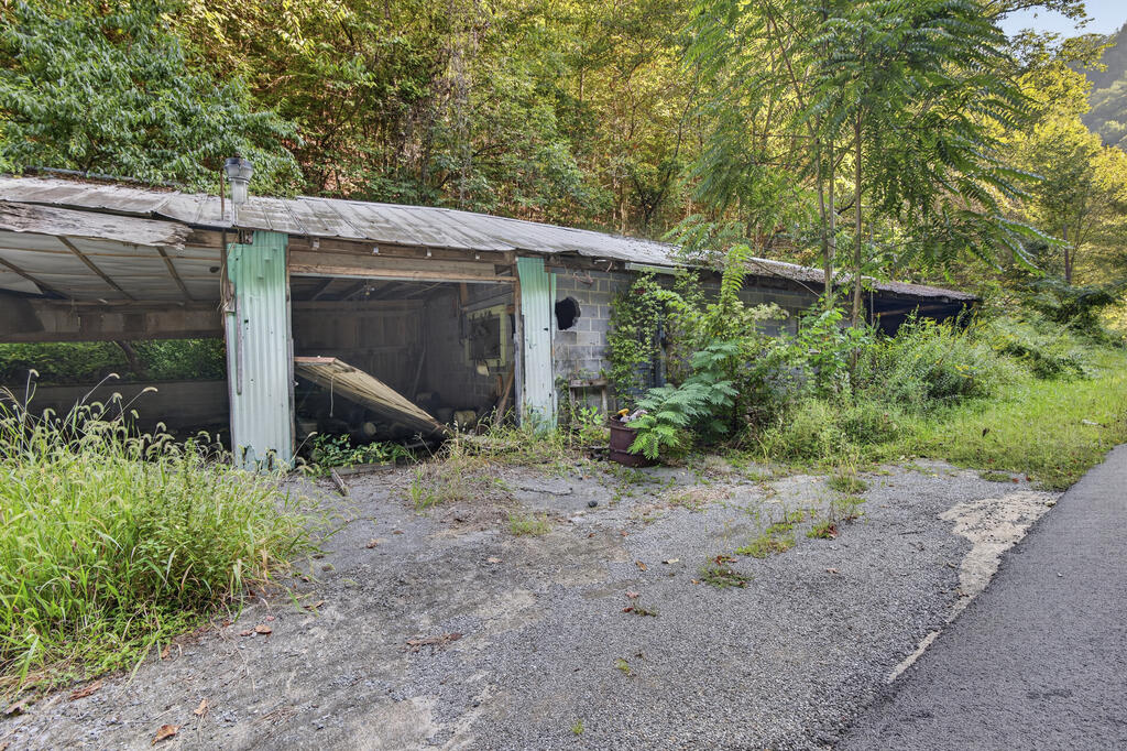 Weathered open-sided outbuilding with overgrown vegetation beside a paved road.