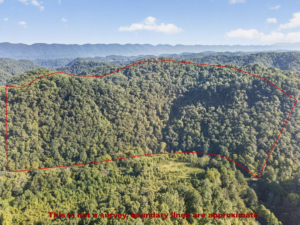 Wooded mountain property outlined in red, with distant ridges and a small clearing.