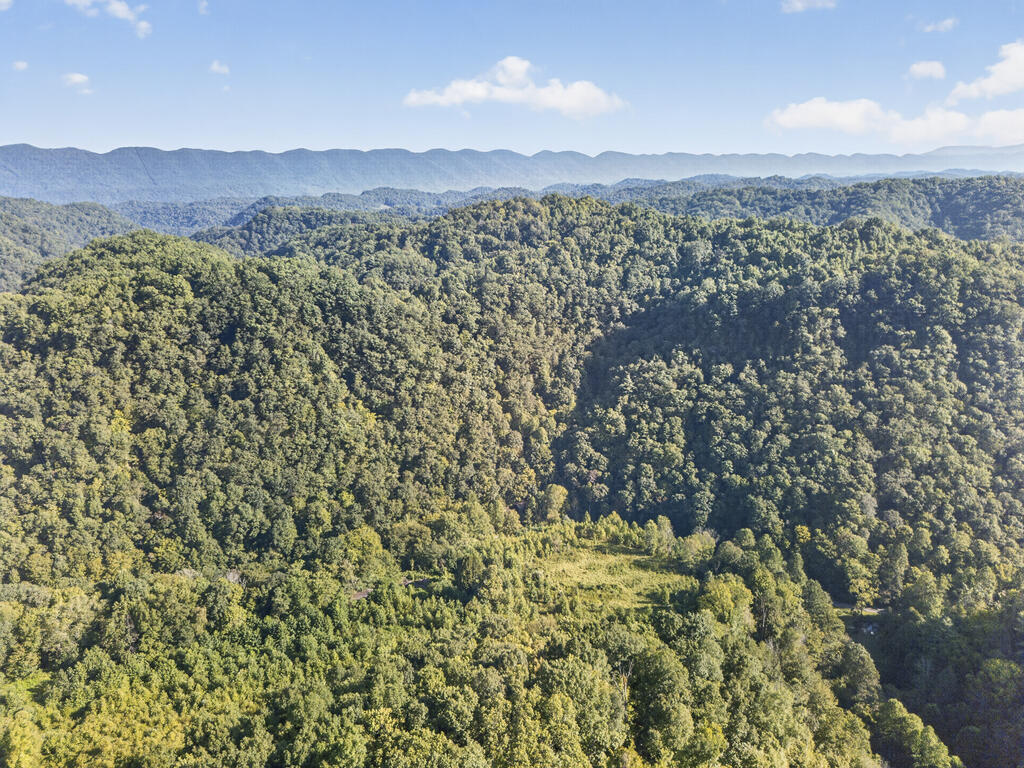 Aerial view of densely wooded land with a clearing and layered mountain ridges.