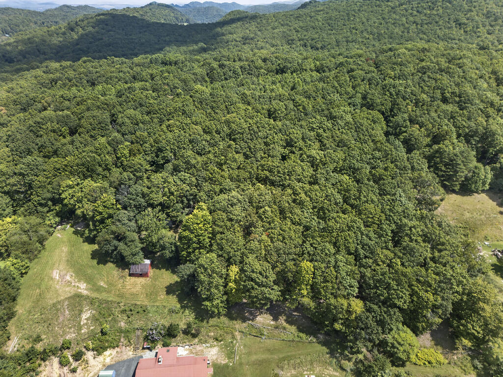 Aerial view of a wooded property with a red-roofed house, clearing, and distant mountain ridges.