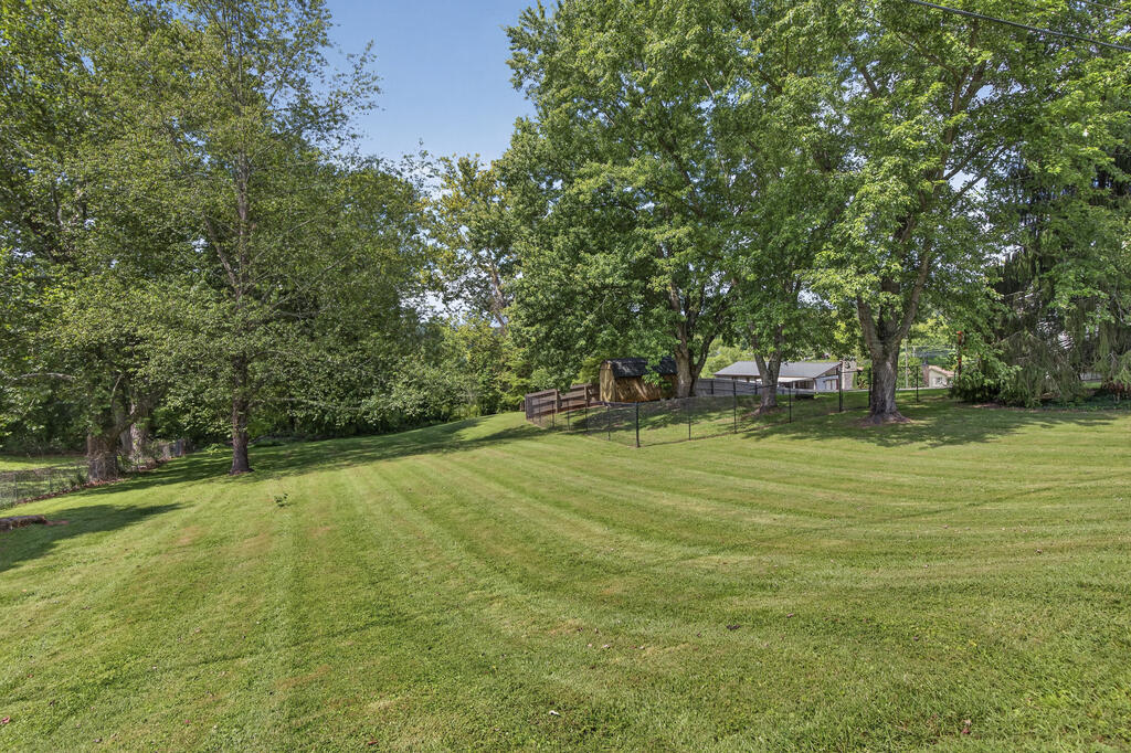 Sloping green lawn beneath mature trees, with a fenced area and small outbuilding.
