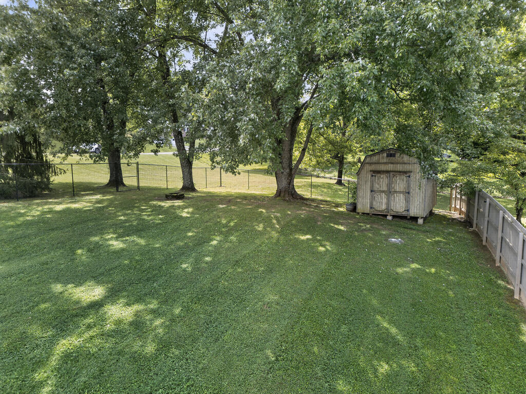 Grassy backyard with mature shade trees, a small storage shed, and fenced boundaries.
