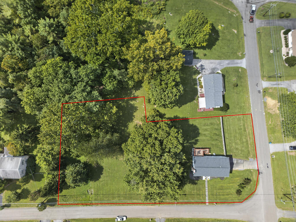 Aerial view of a tree-filled property outlined in red, with a house and road frontage.