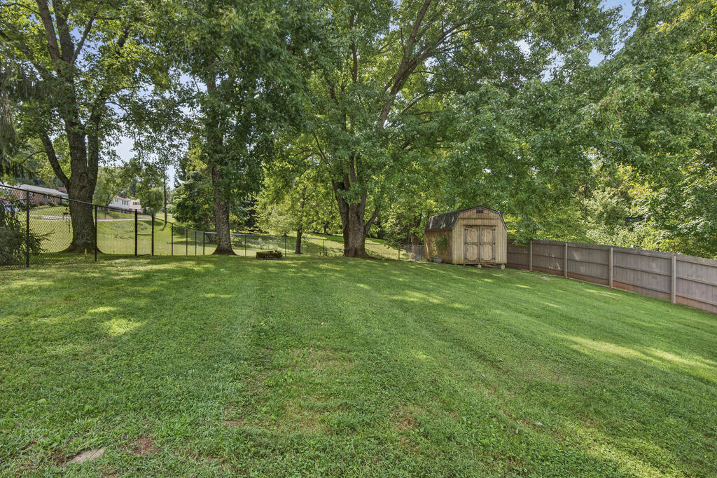 Grassy backyard with mature shade trees, a wooden shed, and fencing.