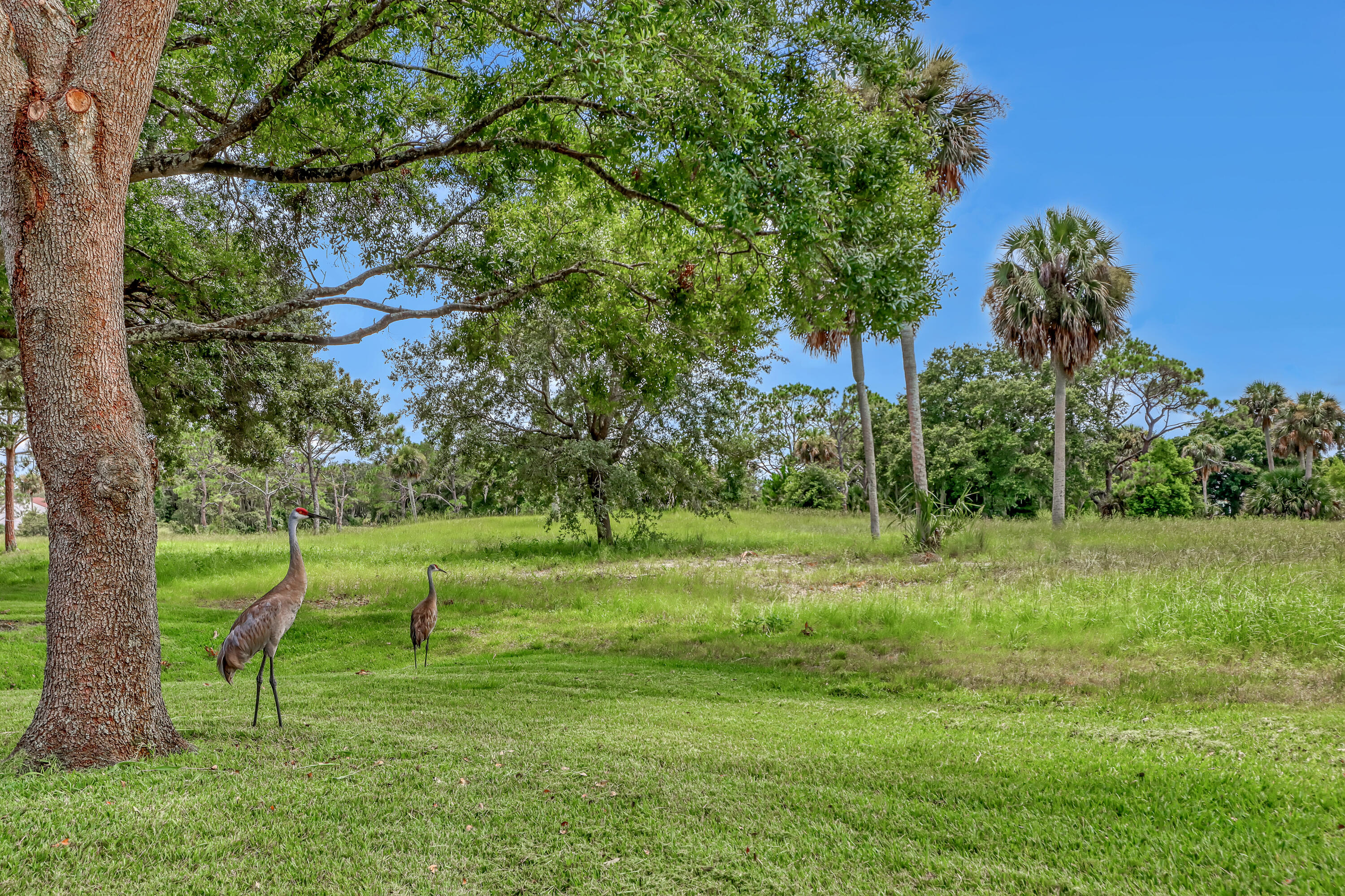 2568 Demaret Drive, 308