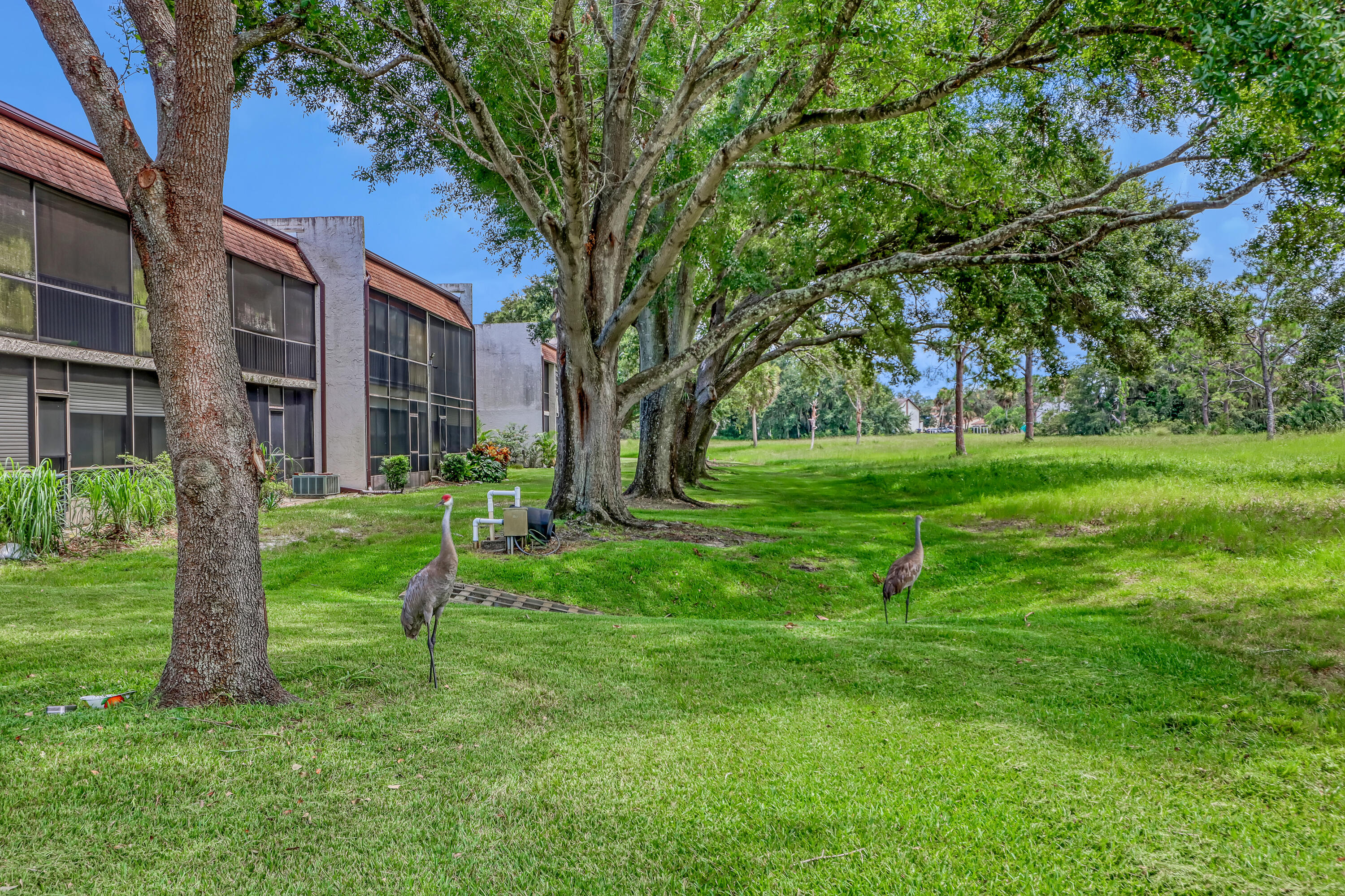 2568 Demaret Drive, 308