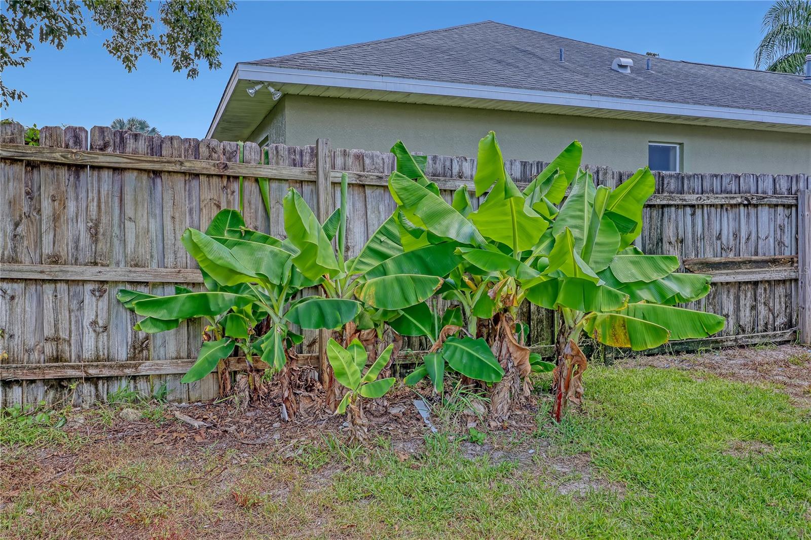 4373 FLETCHER LN