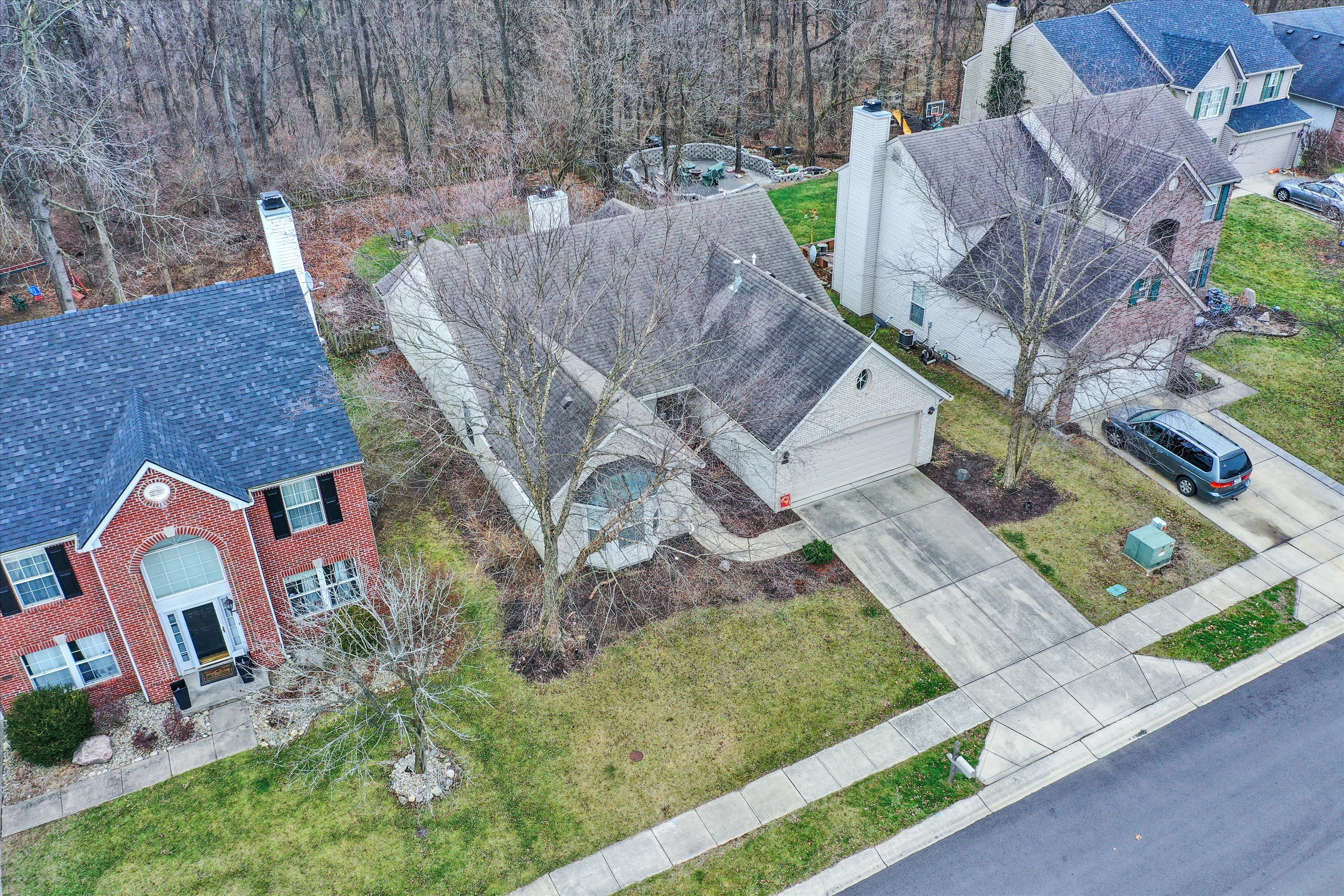 10399 Bristlecone Drive