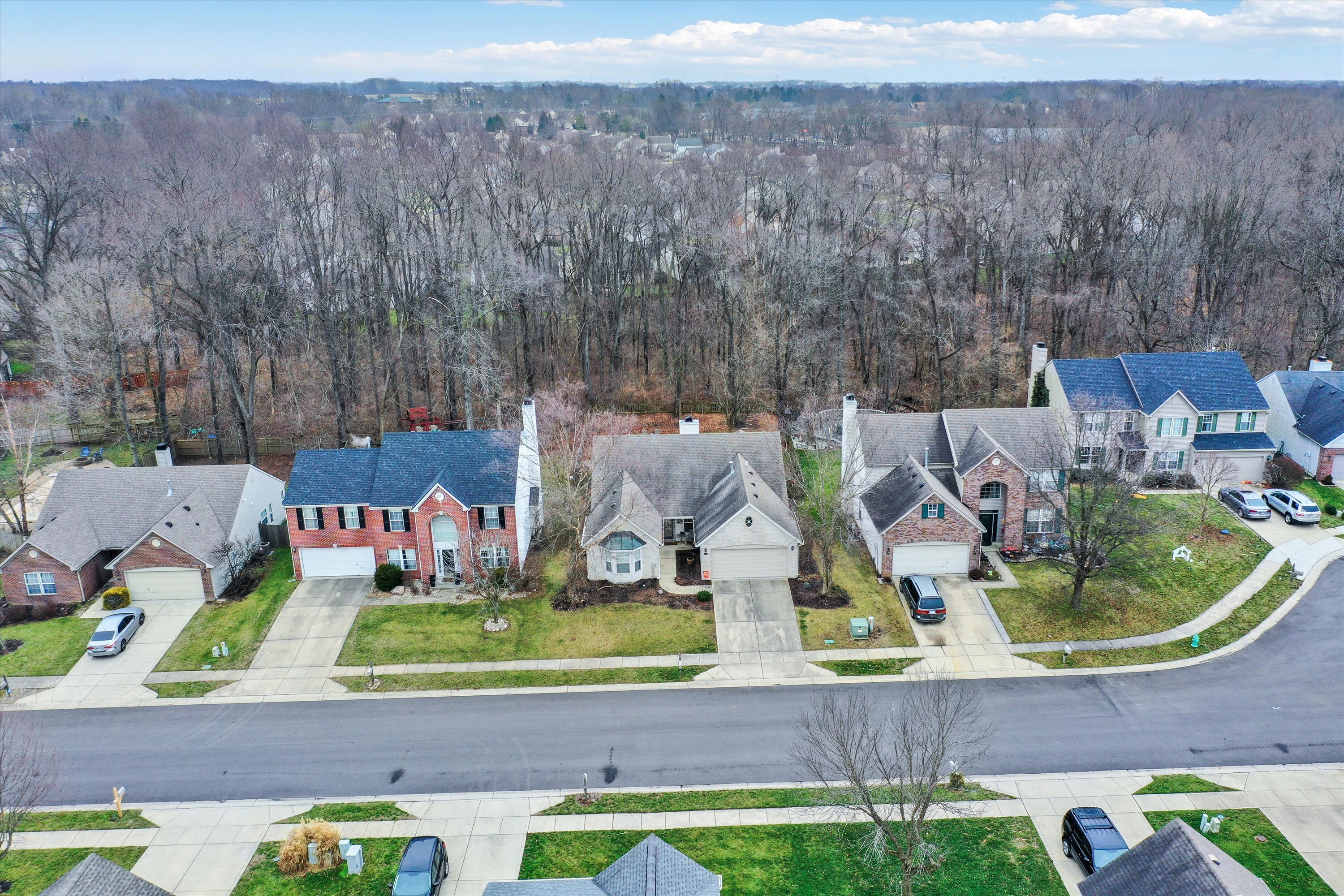 10399 Bristlecone Drive