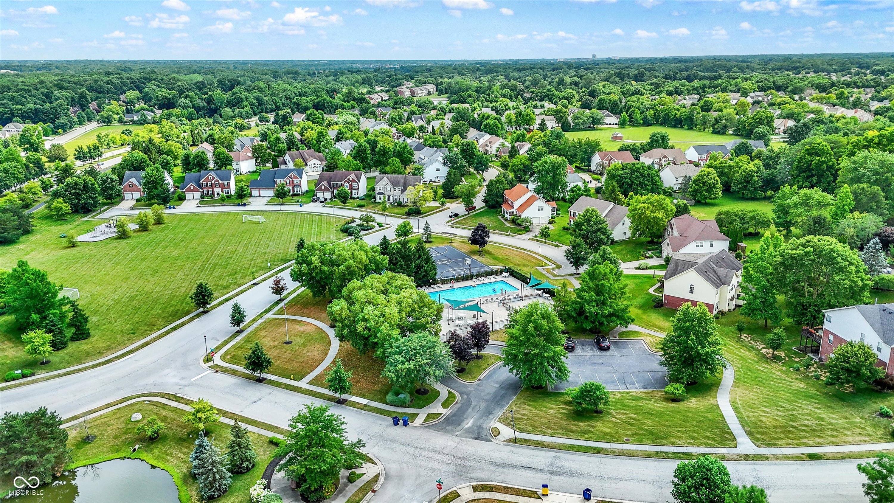 12484 Pasture View Court