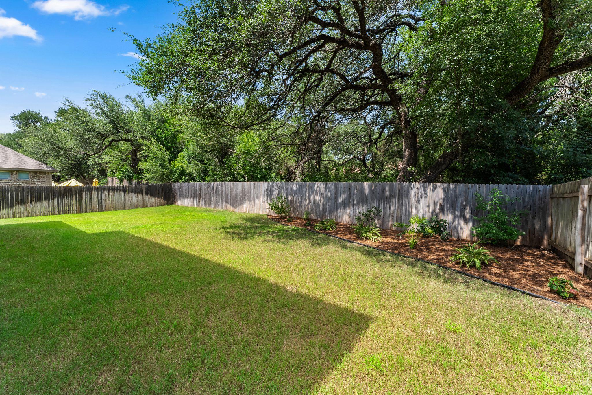 226 Orange Mimosa LN