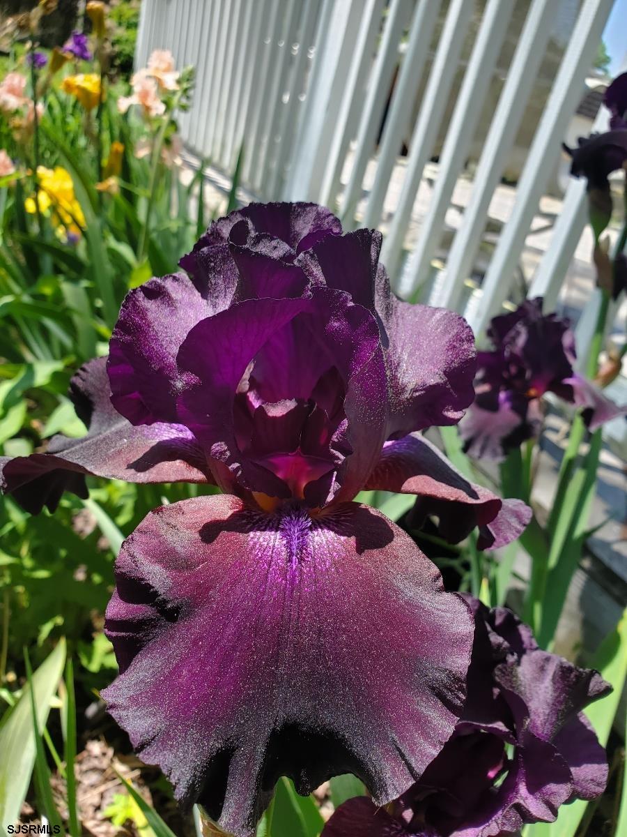 226 San Francisco Ave