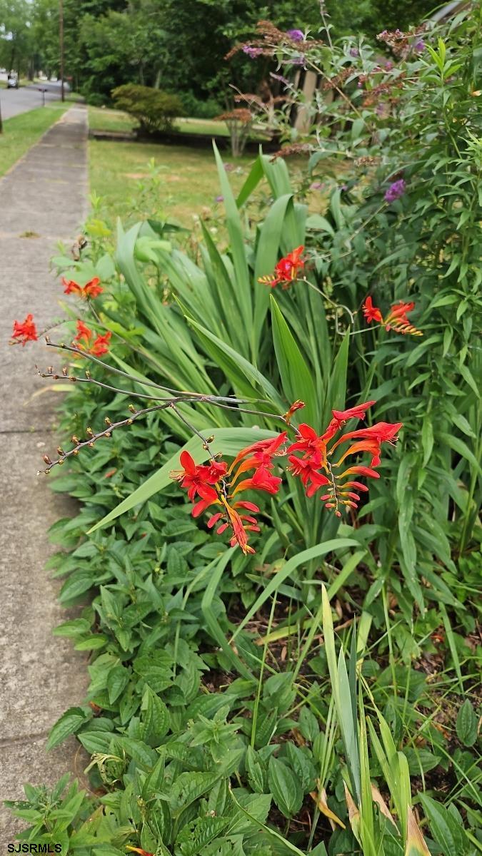 226 San Francisco Ave