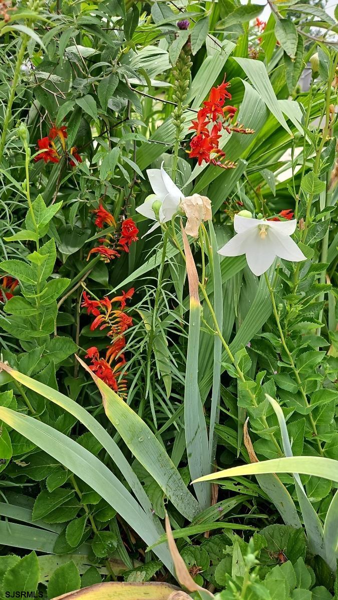 226 San Francisco Ave