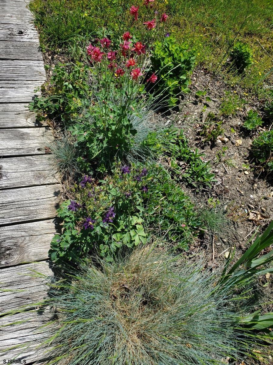 226 San Francisco Ave