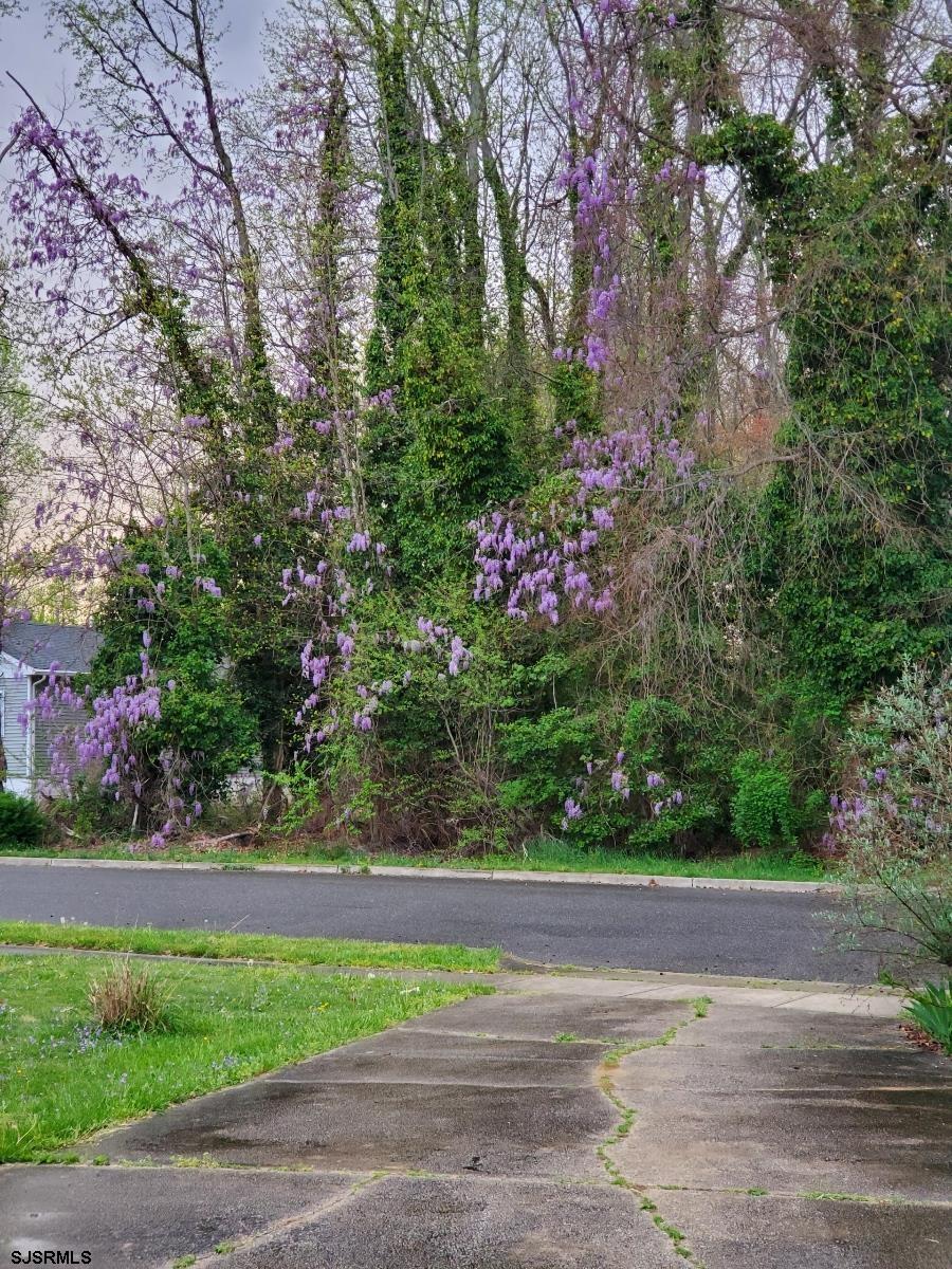 226 San Francisco Ave