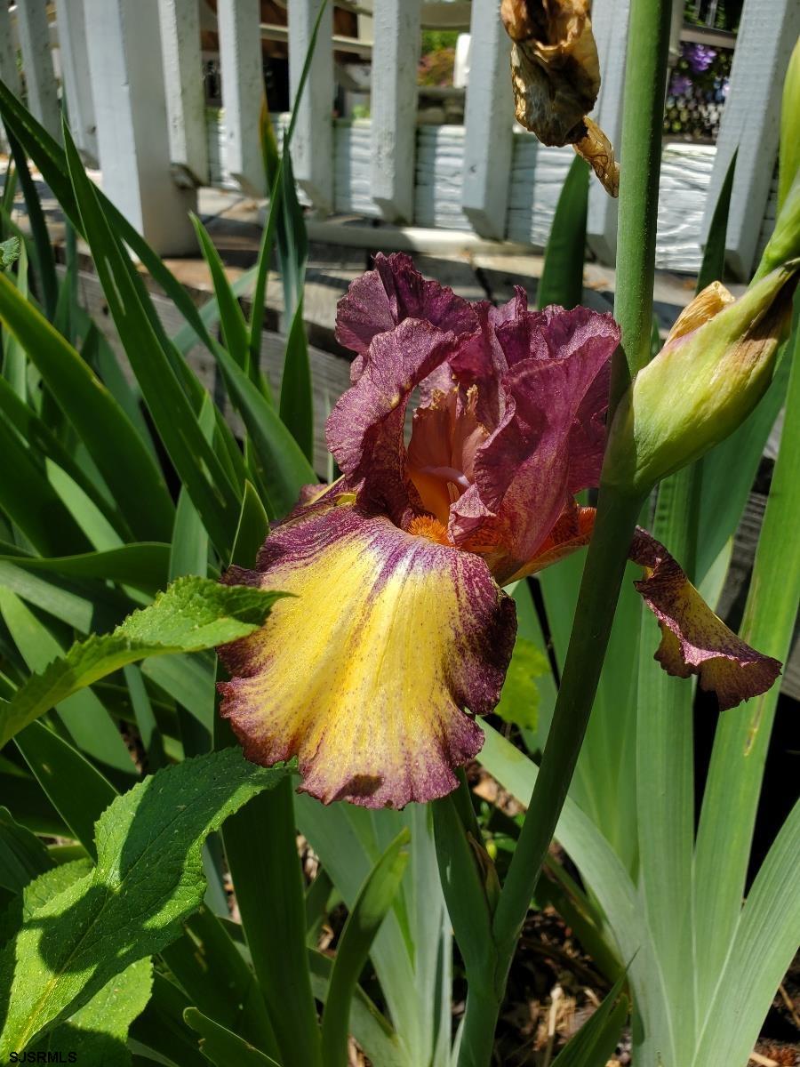 226 San Francisco Ave