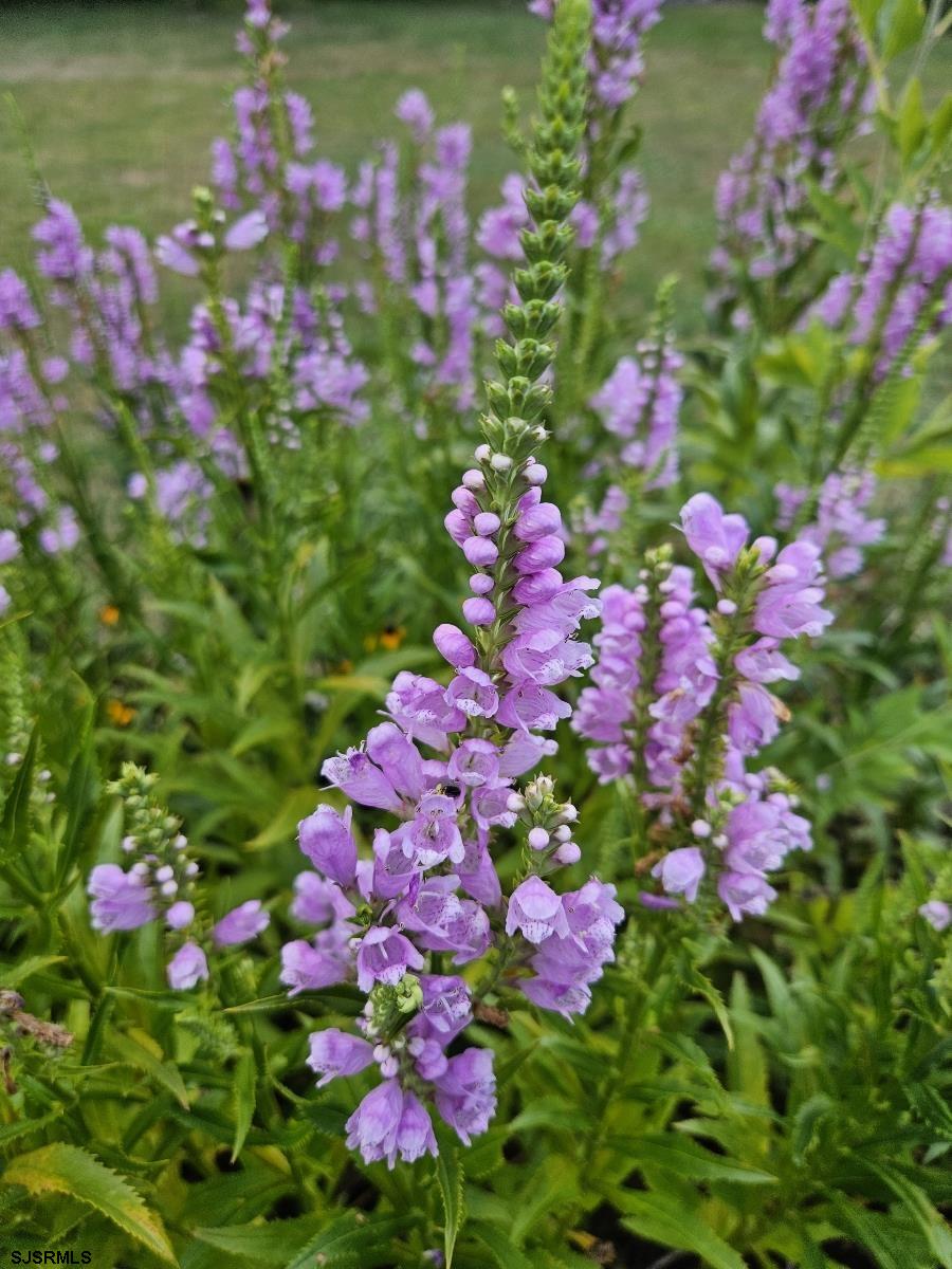 226 San Francisco Ave