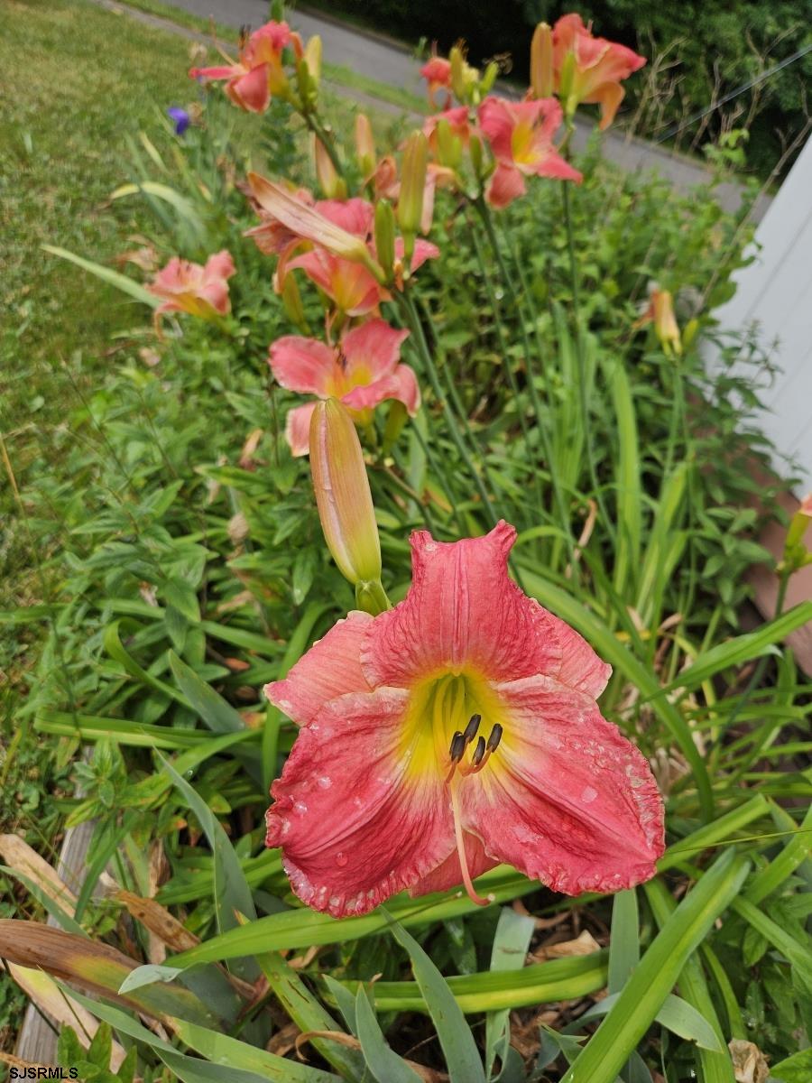 226 San Francisco Ave