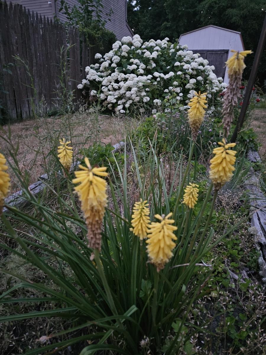 226 San Francisco Ave