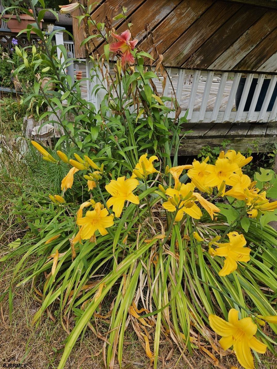 226 San Francisco Ave