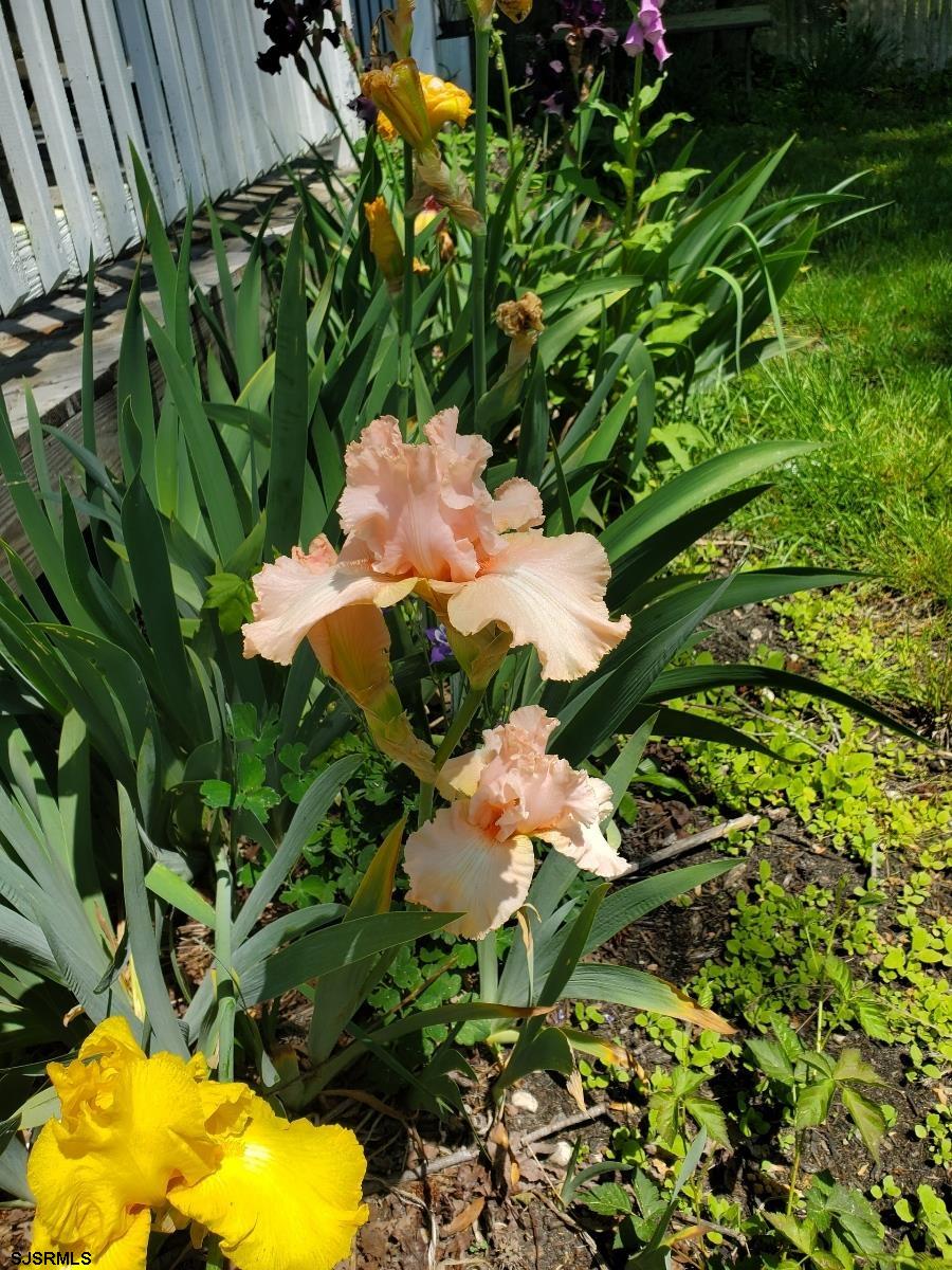 226 San Francisco Ave